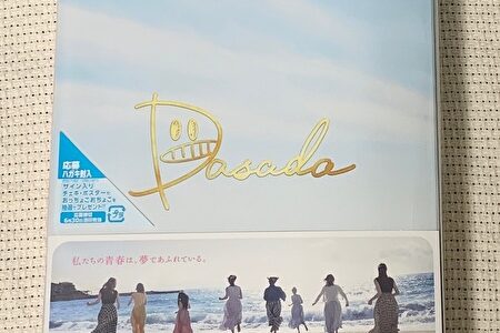 【レビュー】ドラマ「DASADA」 DVDBOX