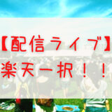 【日向坂46】配信ライブの一般視聴は「楽天」がオススメ！